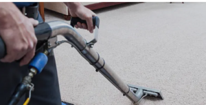 oriental carpet cleaning