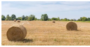 buy baler twine