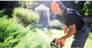 expert gardening services