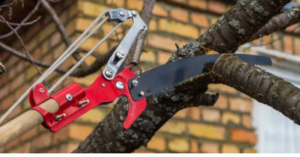 tree lopper