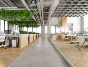 Adelaide-Office-Projects commercial fit outs