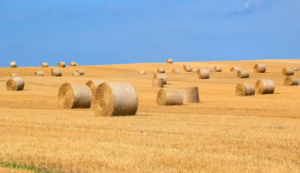 bulk silage wrap