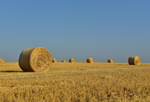 baling twine cost