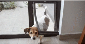 pet doors for sliding doors
