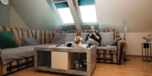 granny flats
