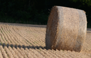 heavy-duty net replacement film